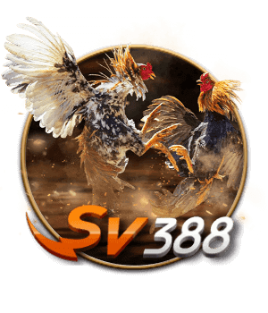 Đá gà SV388